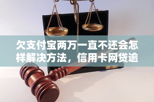 欠支付宝两万一直不还会怎样解决方法，信用卡网贷逾期必看！