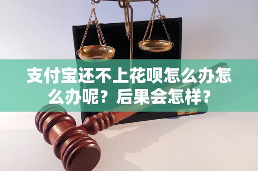 支付宝还不上花呗怎么办怎么办呢？后果会怎样？