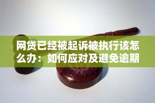 网贷已经被起诉被执行该怎么办：如何应对及避免逾期还款问题