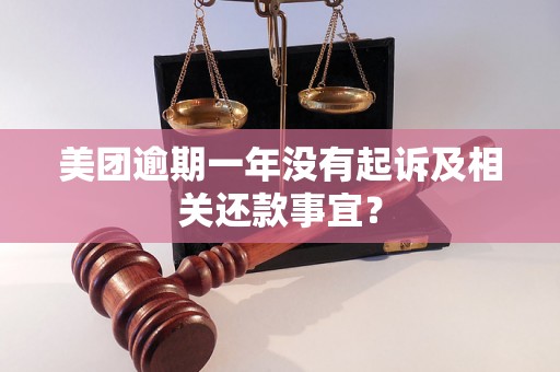 美团逾期一年没有起诉及相关还款事宜？