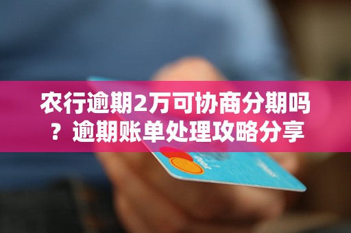 农行逾期2万可协商分期吗？逾期账单处理攻略分享