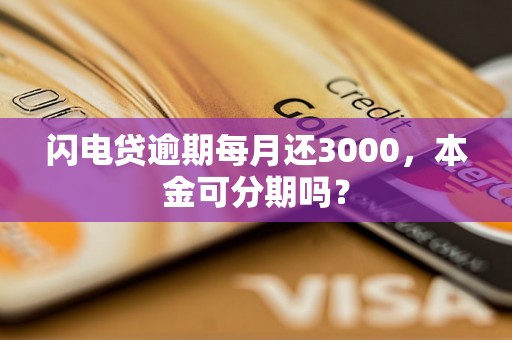 闪电贷逾期每月还3000，本金可分期吗？