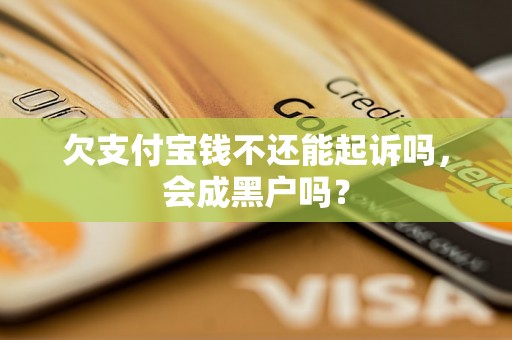 欠支付宝钱不还能起诉吗，会成黑户吗？