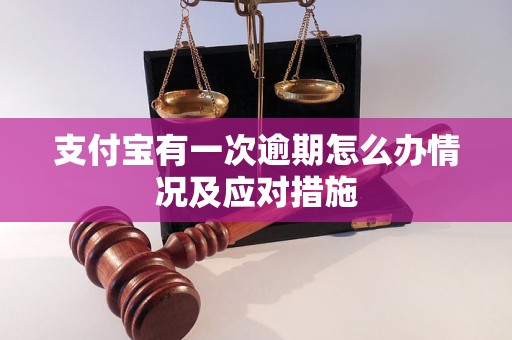 支付宝有一次逾期怎么办情况及应对措施