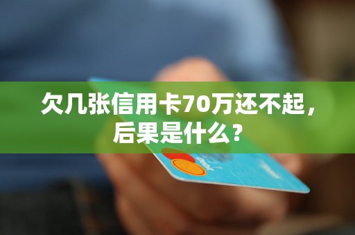 欠几张信用卡70万还不起，后果是什么？