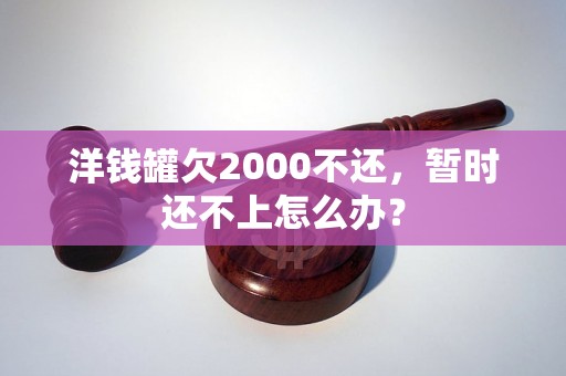 洋钱罐欠2000不还，暂时还不上怎么办？