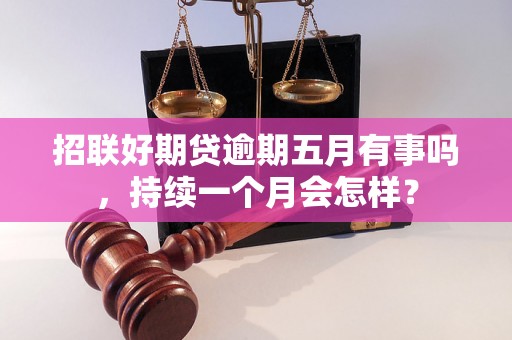 招联好期贷逾期五月有事吗，持续一个月会怎样？