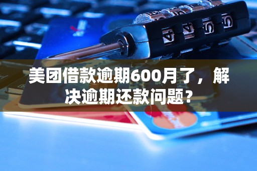 美团借款逾期600月了，解决逾期还款问题？