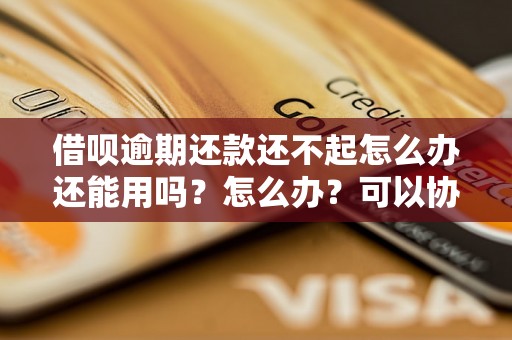 借呗逾期还款还不起怎么办还能用吗？怎么办？可以协商还本金吗？