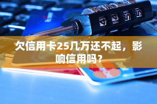 欠信用卡25几万还不起，影响信用吗？