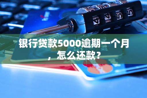 银行贷款5000逾期一个月，怎么还款？