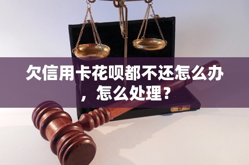 欠信用卡花呗都不还怎么办，怎么处理？