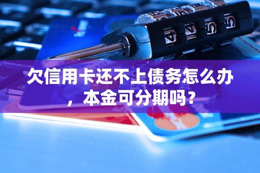 欠信用卡还不上债务怎么办，本金可分期吗？