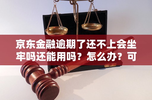 京东金融逾期了还不上会坐牢吗还能用吗？怎么办？可以协商还本金吗？