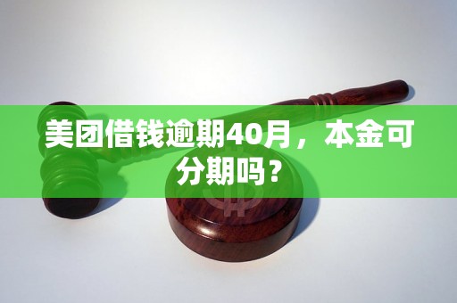 美团借钱逾期40月，本金可分期吗？