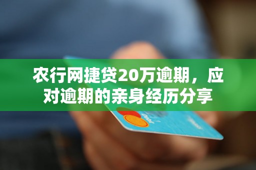 农行网捷贷20万逾期，应对逾期的亲身经历分享