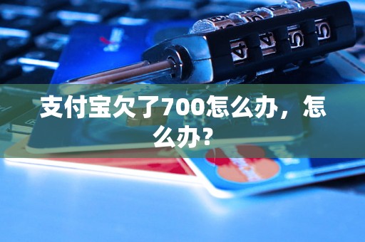 支付宝欠了700怎么办，怎么办？