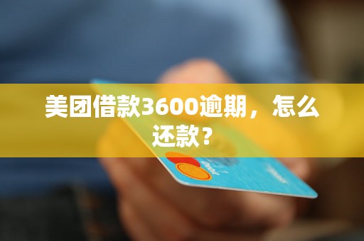 美团借款3600逾期，怎么还款？