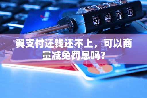 翼支付还钱还不上，可以商量减免罚息吗？