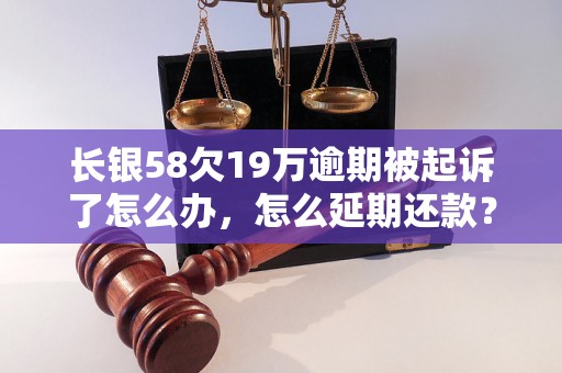 长银58欠19万逾期被起诉了怎么办，怎么延期还款？