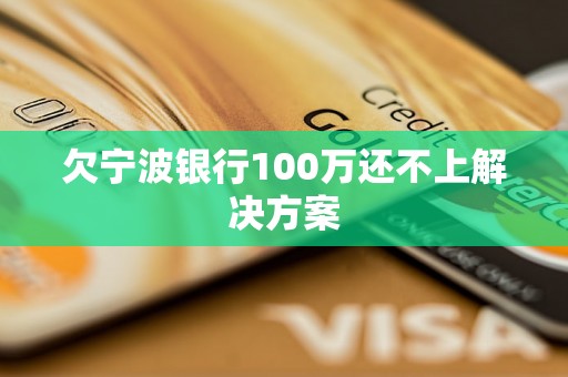 欠宁波银行100万还不上解决方案