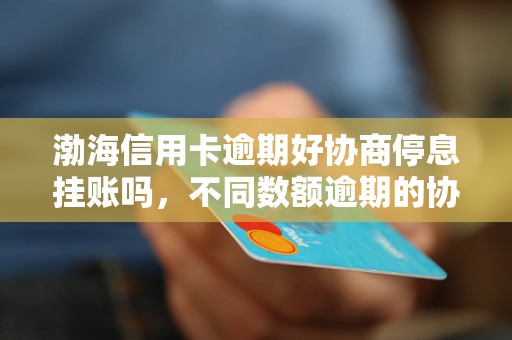 渤海信用卡逾期好协商停息挂账吗，不同数额逾期的协商还款经验分享