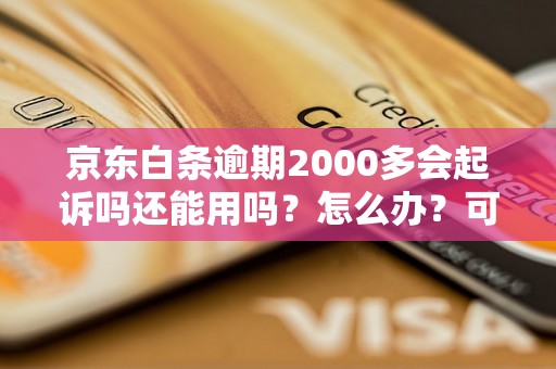 京东白条逾期2000多会起诉吗还能用吗？怎么办？可以协商还本金吗？