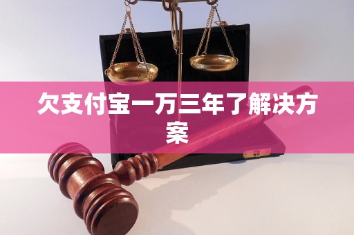 欠支付宝一万三年了解决方案