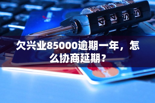 欠兴业85000逾期一年，怎么协商延期？