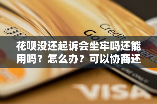 花呗没还起诉会坐牢吗还能用吗？怎么办？可以协商还本金吗？