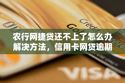 农行网捷贷还不上了怎么办解决方法，信用卡网贷逾期必看！