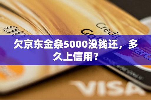 欠京东金条5000没钱还，多久上信用？