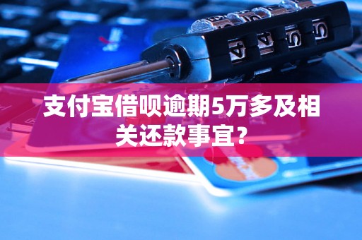 支付宝借呗逾期5万多及相关还款事宜？