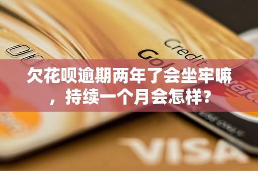 欠花呗逾期两年了会坐牢嘛,持续一个月会怎样?