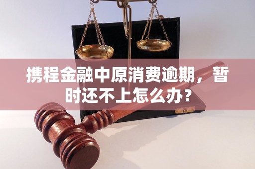 携程金融中原消费逾期，暂时还不上怎么办？