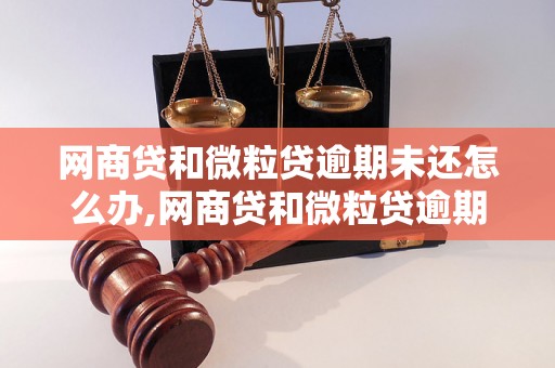 网商贷和微粒贷逾期未还怎么办,网商贷和微粒贷逾期还款流程详解