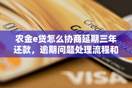 农金e贷怎么协商延期三年还款，逾期问题处理流程和方法