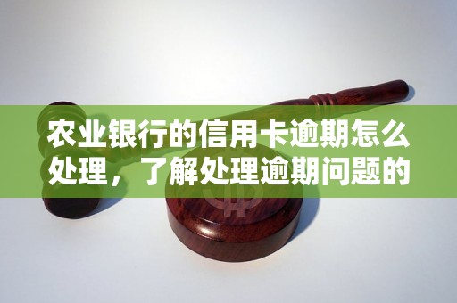 农业银行的信用卡逾期怎么处理，了解处理逾期问题的相关流程和方法