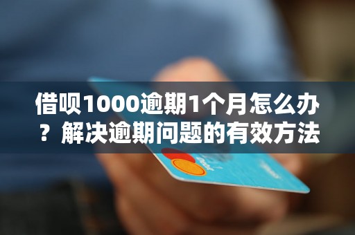 借呗1000逾期1个月怎么办？解决逾期问题的有效方法分享