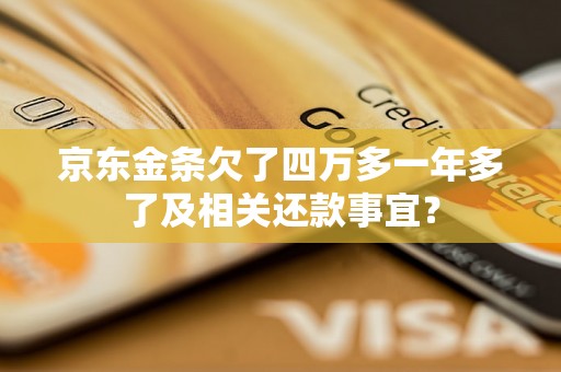 京东金条欠了四万多一年多了及相关还款事宜？