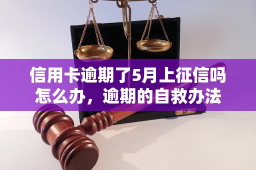 信用卡逾期了5月上征信吗怎么办，逾期的自救办法