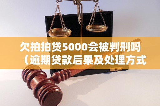 欠拍拍贷5000会被判刑吗（逾期贷款后果及处理方式）