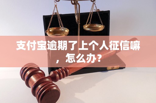 支付宝逾期了上个人征信嘛，怎么办？