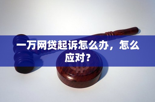 一万网贷起诉怎么办，怎么应对？