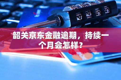 韶关京东金融逾期，持续一个月会怎样？