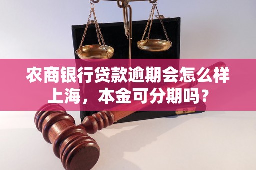 农商银行贷款逾期会怎么样上海，本金可分期吗？