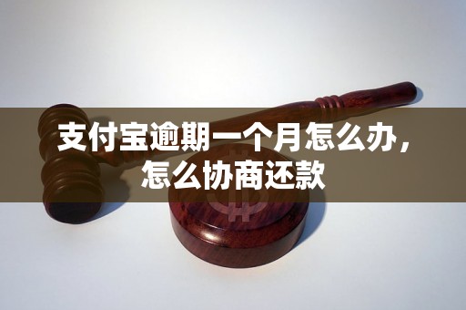 支付宝逾期一个月怎么办，怎么协商还款