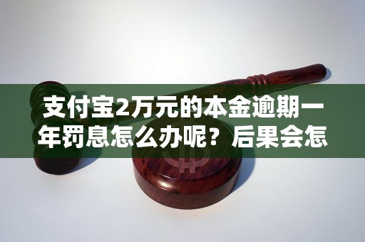 支付宝2万元的本金逾期一年罚息怎么办呢？后果会怎样？