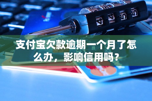 支付宝欠款逾期一个月了怎么办，影响信用吗？