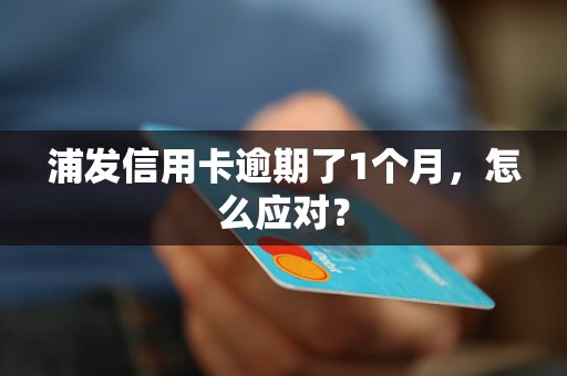 浦发信用卡逾期了1个月，怎么应对？